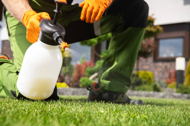 Best Ant Control Services  in Garrison, ND