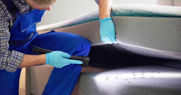 Professional Pest Control in Garrison, ND