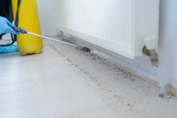 Best Residential Pest Control  in Garrison, ND
