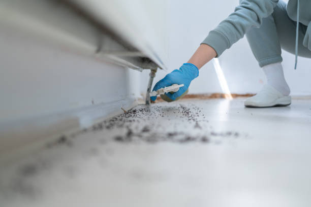 Best Best Pest Control Companies  in Garrison, ND