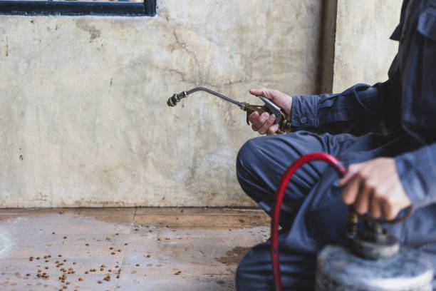 Best Flea Control Services  in Garrison, ND
